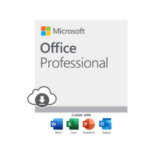 MS OFFICE 2019 PROFESSIONAL - MEDIALESS
